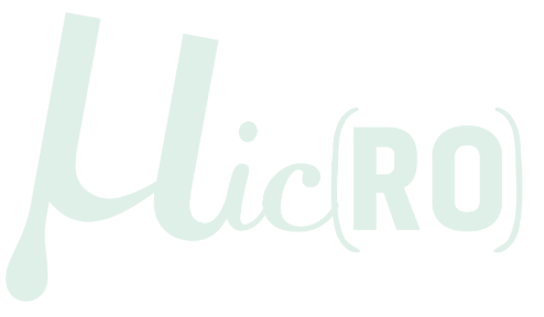 MicroDenver